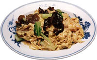 tamagokikurage_sn